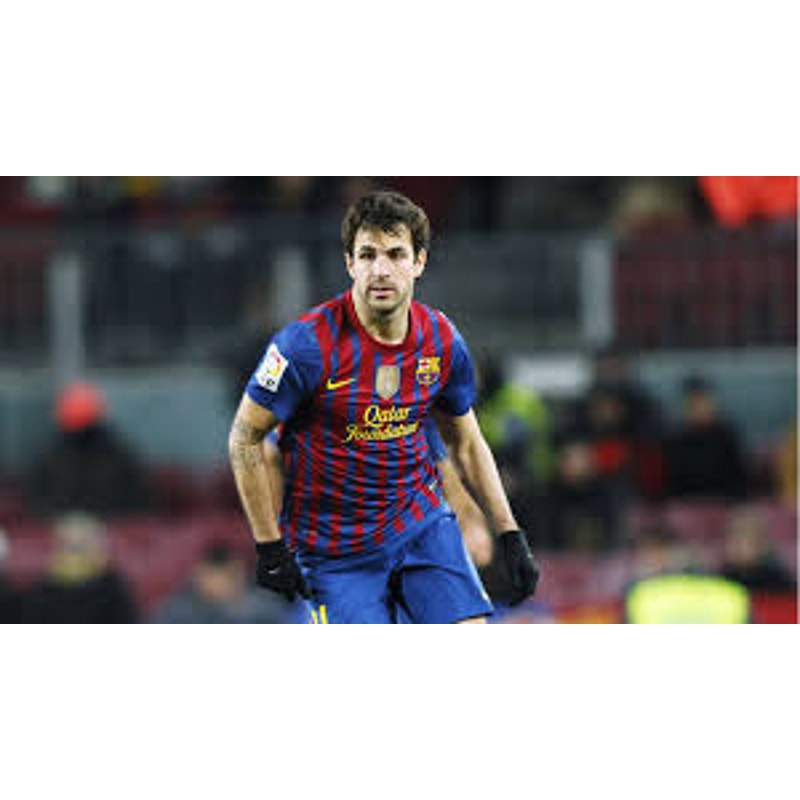 FC Barcelona 2011-12 Home Fabregas Jersey Men's Medium Authentic Nike Kit